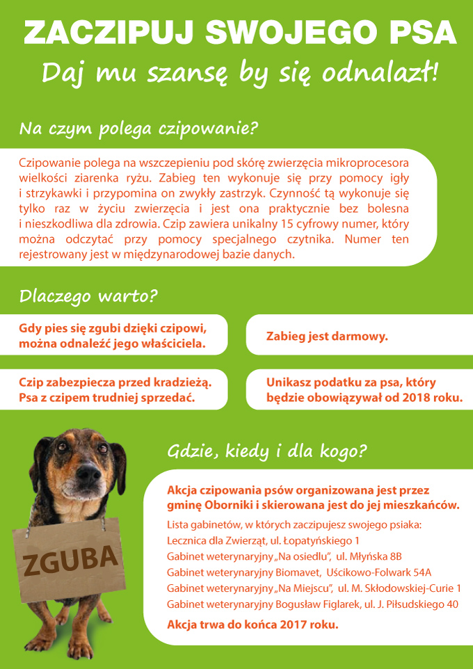 Darmowe czipowanie psów