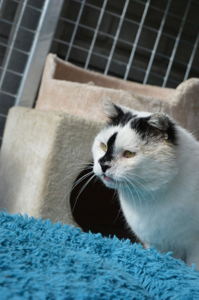 PREZESA przedstawaiać nie trzeba