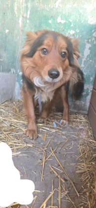 Folik - młodzieniec z potencjałem